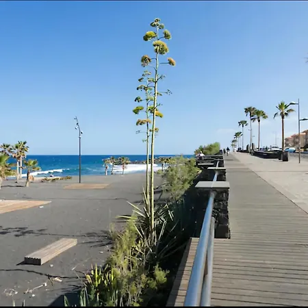 Martimar Канделария